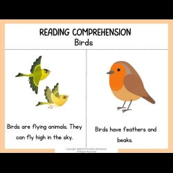 Reading Comprehension Worksheets Pdf Downloads