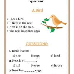 Reading Worksheets At Home