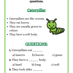 Reading Worksheets For Grade 6