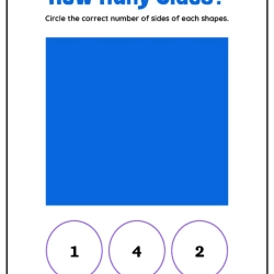 How Many Shapes Side Download Worksheet
