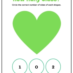 How Many Shapes Side For 1st Grade Worksheet