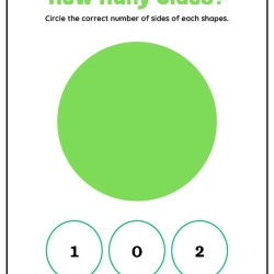 How Many Shapes Side Worksheet