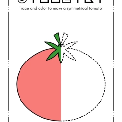Trace Symmetrical Worksheet For 3rd Grade