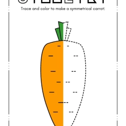Trace Symmetrical Worksheet For Grade 3