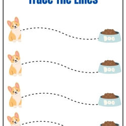 Printable Trace The Lines To Prints Worksheet