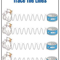 Trace The Lines Fun Cat Free Downloads Worksheet