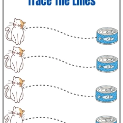 Trace The Lines Fun Cat To Prints Worksheet