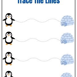 Trace The Lines Fun Penguin For 1st Grade Worksheet