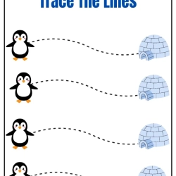 Trace The Lines Fun Penguin To Prints Worksheet