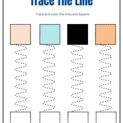Trace The Lines Worksheet For Grade 2