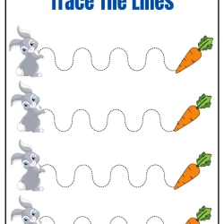 Tracing The Lines Worksheet Pdf File