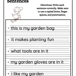 Correct Sentence Worksheet Pdf File