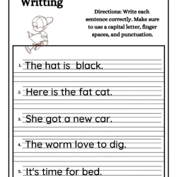 Writing Sentence Worksheet For Free