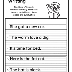 Writing The Sentence For Free Worksheet